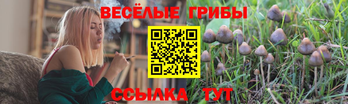 Галлюциногенные грибы Magic Shrooms Дербент