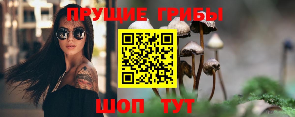 Галлюциногенные грибы Cubensis  Псилоцибиновые грибы мицелий  Вход с VPN  Дербент 